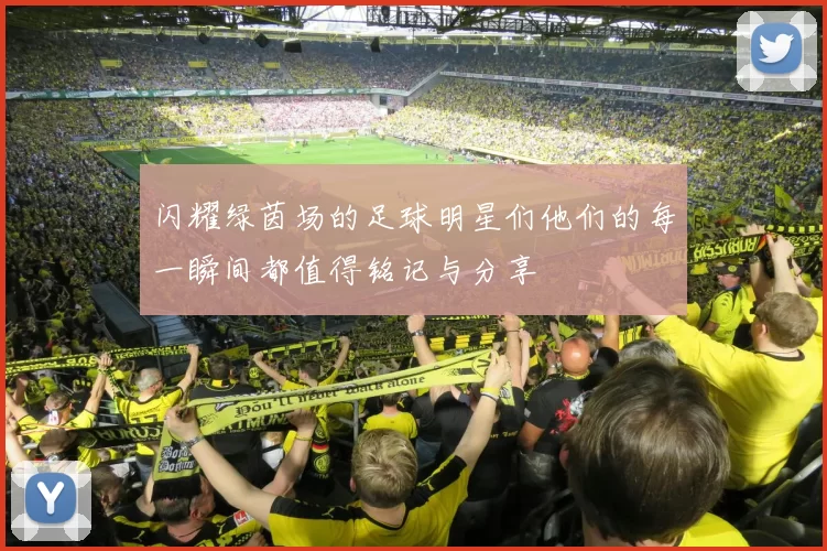 闪耀绿茵场的足球明星们他们的每一瞬间都值得铭记与分享