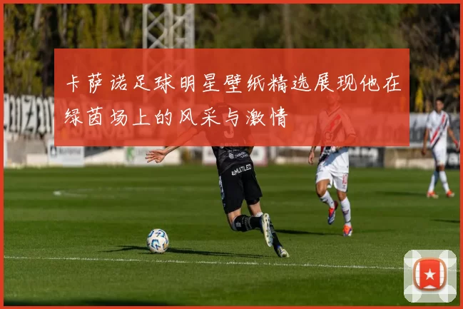 卡萨诺足球明星壁纸精选展现他在绿茵场上的风采与激情