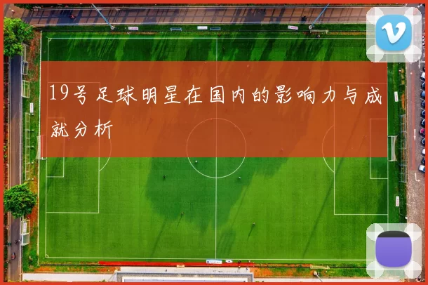 19号足球明星在国内的影响力与成就分析