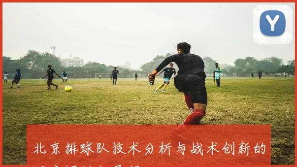 北京排球队技术分析与战术创新的深度探讨与展望