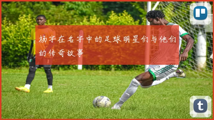 杨字在名字中的足球明星们与他们的传奇故事