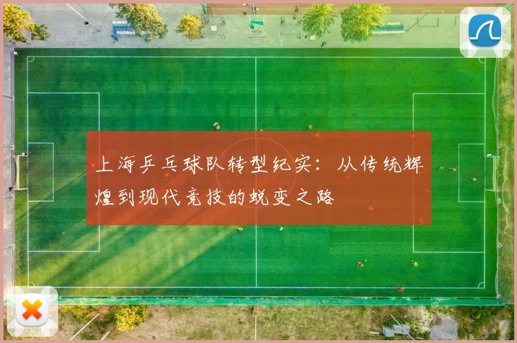 上海乒乓球队转型纪实：从传统辉煌到现代竞技的蜕变之路