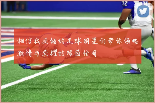 相信我没错的足球明星们带你领略激情与荣耀的绿茵传奇