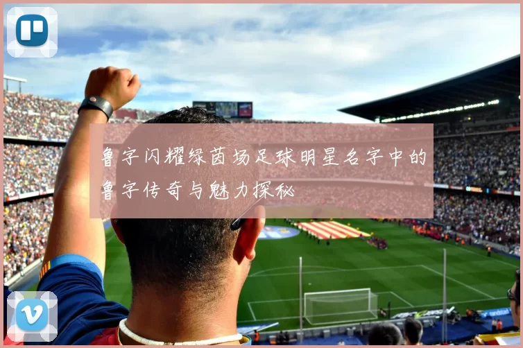 鲁字闪耀绿茵场足球明星名字中的鲁字传奇与魅力探秘
