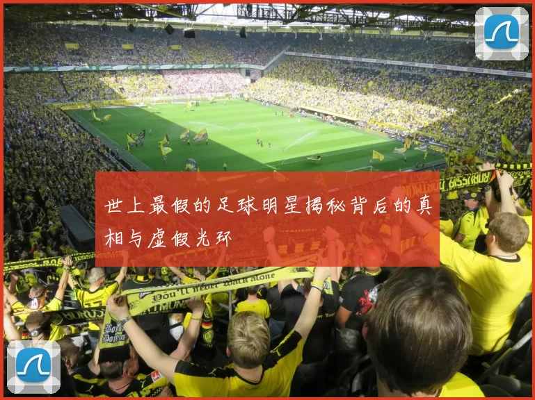 世上最假的足球明星揭秘背后的真相与虚假光环