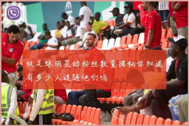 纹足球明星的粉丝数量揭秘你知道有多少人追随他们吗