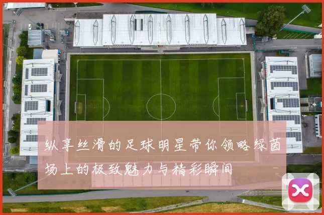纵享丝滑的足球明星带你领略绿茵场上的极致魅力与精彩瞬间