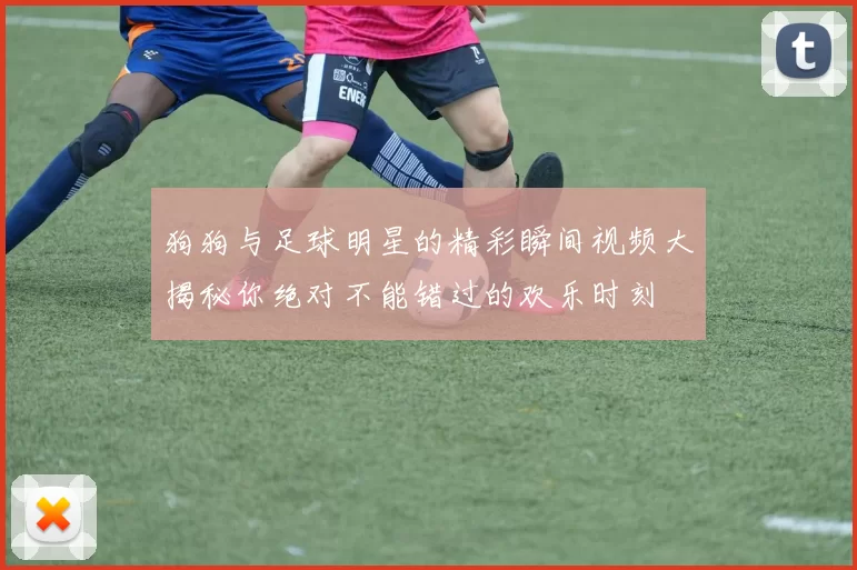 狗狗与足球明星的精彩瞬间视频大揭秘你绝对不能错过的欢乐时刻